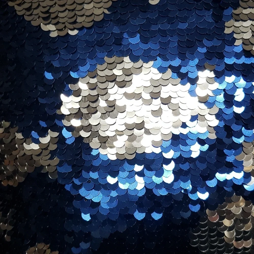 Dennis East International Latitude 38 NWT Blue and Silver Reversible Fish Pillow